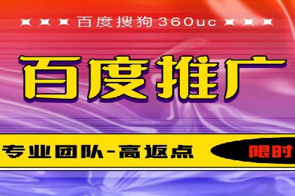 某公司通过百度竞价实现业务快速增长的案例